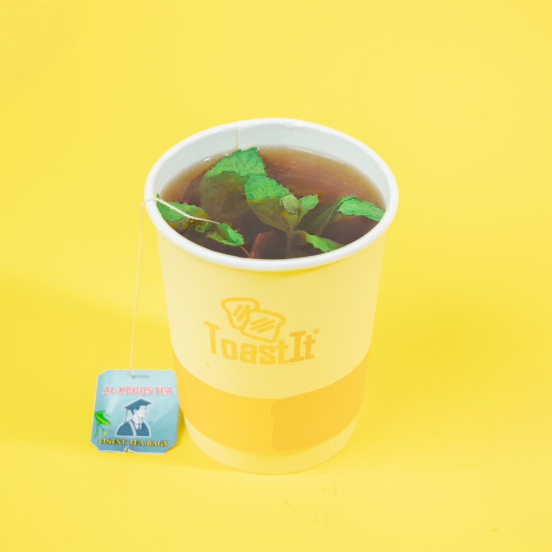 Toast it 6